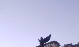 大庆创业城最新消息 大庆创业城最新消息